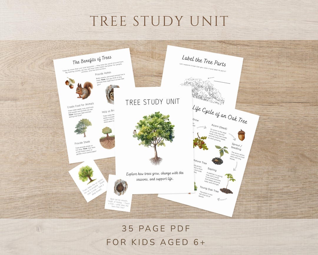 Tree Study Printable | Nature Study Unit for Kids - Homeschool Woodland ...
