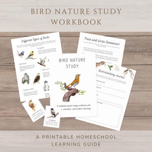 Werkboek natuurstudie vogels | Science-journaal voor thuisonderwijs, afdrukbare vogeleenheid