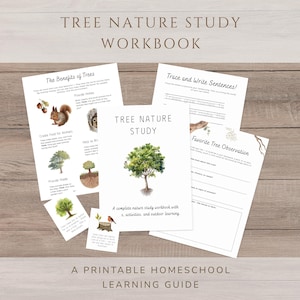 Cahier d'activités sur les arbres | Sciences des arbres pour l'école à la maison, journal de nature à imprimer et activités de plein air