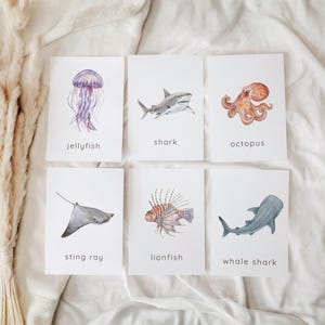 Pode incluir: Seis cartões retangulares brancos com ilustrações em aquarela de vida marinha. Cada cartão exibe uma criatura marinha com o nome impresso abaixo: jellyfish, shark, octopus, sting ray, lionfish e whale shark em fonte sem serifa.