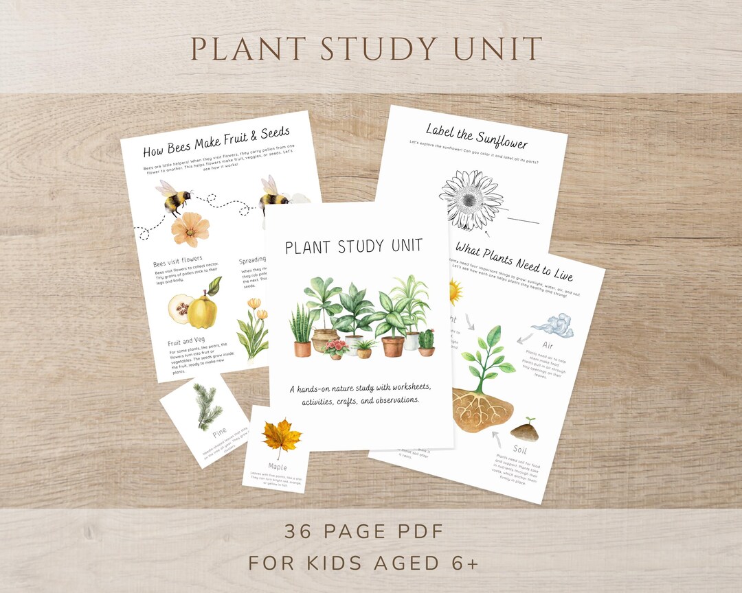 Plant Study Direction Plant Study Unit, Kids Nature Learning, Homeschool & Outdoor Activities ...