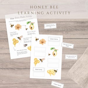 Può includere: Due fogli di attività didattiche intitolati Honey Bee Learning Activity con illustrazioni ad acquerello di api, fiori e favi. I fogli includono testo che spiega come le api producono il miele e caselle vuote per abbinare etichette come Collect Nectar.