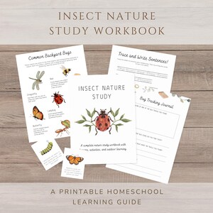 Puede incluir: Un cuaderno de trabajo Insect Nature Study con varias páginas imprimibles que incluyen ilustraciones de libélula, abeja, mariquita, mariposa, hormiga y oruga. La portada muestra un gráfico de mariquita con el texto Insect Nature Study.