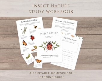 Caderno de Atividades de Estudo da Natureza sobre Insetos | Diário de Aprendizagem sobre Insetos, Atividades de Ciências para Educação Domiciliar, Atividades de Estudo da Natureza