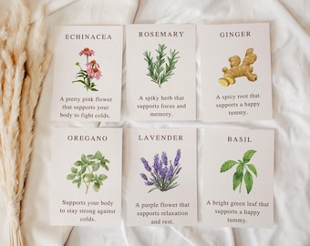 Herbal Allies Flash Cards for Kids – Educational, Mindful, Digital Printable Set