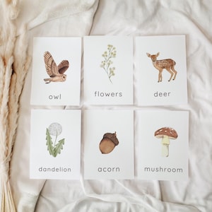 May include: Six white cards with watercolor illustrations of nature elements: an owl, flowers, a deer, a dandelion, an acorn, and a mushroom. Each card has the name of the element printed below the image.