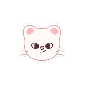 Jiniret Skzoo - Etsy Canada