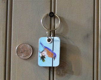 Keychain Missouri license plate keychain  eastern bluebird keychain  bluebird upcycled overall size is approx,  3" x 1 3/8" FREE SHIPPING