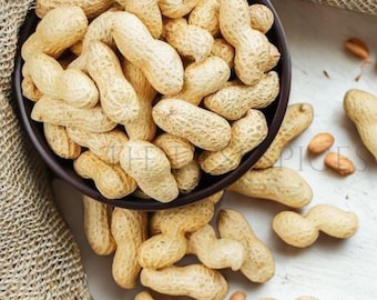Arachides biologiques | Arachides crues | Noix naturelles non grillées pour le grignotage, beurre de cacahuète et cuisine