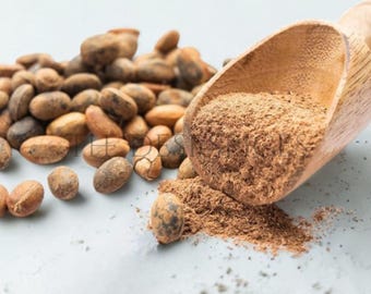 Jamalghota Ganzes / Pulver | Croton Tiglium Botanisches Exemplar