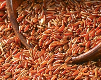 Arroz rojo orgánico / Grano integral sin pulir / Arroz saludable rico en fibra / Superalimento natural sin gluten / Comida vegana