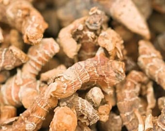 Raiz de galanga seca | Especiaria natural para caril, chá e caldos