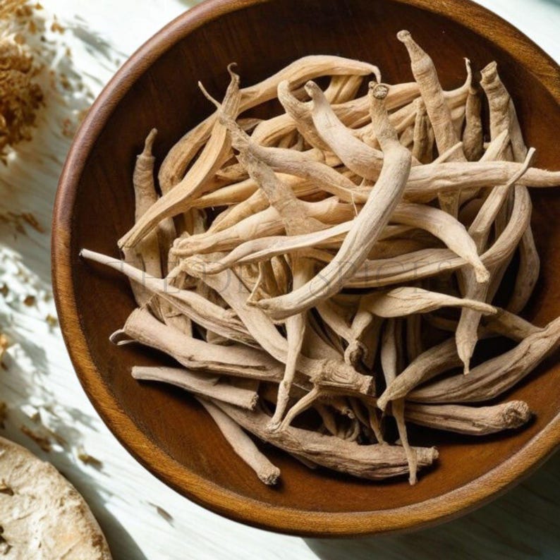 K&ouml;nnte beinhalten: Eine Holzschale gef&uuml;llt mit getrockneten, beigefarbenen Wurzeln. Die Wurzeln sind lang, d&uuml;nn und leicht gebogen. Die Schale besteht aus dunkelbraunem Holz und steht auf einer hellen Oberfl&auml;che.