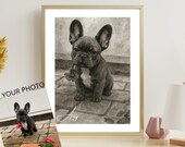 Custom Dog Portrait Watercolor – Black and White Pet Portrait from Photo, Personalized Dog Art Print, Memorial Pet Gift, Dog Wall Art