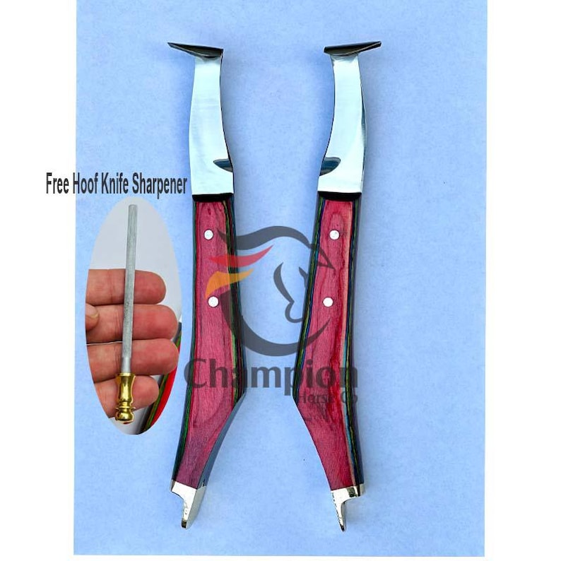Pu&ograve; includere: Vengono mostrati due coltelli per zoccoli con manici in legno rosso e lame argentate. I coltelli hanno un design a lama curva e vengono mostrati con un affilacoltelli per zoccoli gratuito. Il testo "Champion Horses" &egrave; visibile.