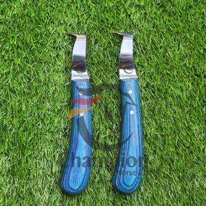 May include: Two hoof knives with blue wooden handles and silver blades. The handles have a wood grain pattern and are labeled "Champion Horse Tools". The knives are set against a green background.