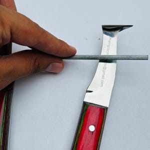 Pu&ograve; includere: Un affilacoltelli con un manico in legno rosso e multicolore. La lama &egrave; argentata e ha una forma curva con una punta. Sulla lama si sta usando un'asta per affilare. Il testo "championh" e "co@gmail.com" &egrave; visibile sulla lama.