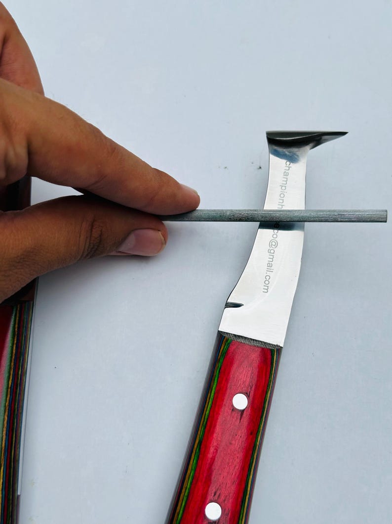 Pu&ograve; includere: Un affilacoltelli con un manico in legno rosso e multicolore. La lama &egrave; argentata e ha una forma curva con una punta. Sulla lama si sta usando un'asta per affilare. Il testo "championh" e "co@gmail.com" &egrave; visibile sulla lama.