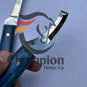 May include: Two hoof knives with polished steel blades and blue wooden handles. The handles have a wood grain pattern. The text "Champion Horse Co" is visible in the background.