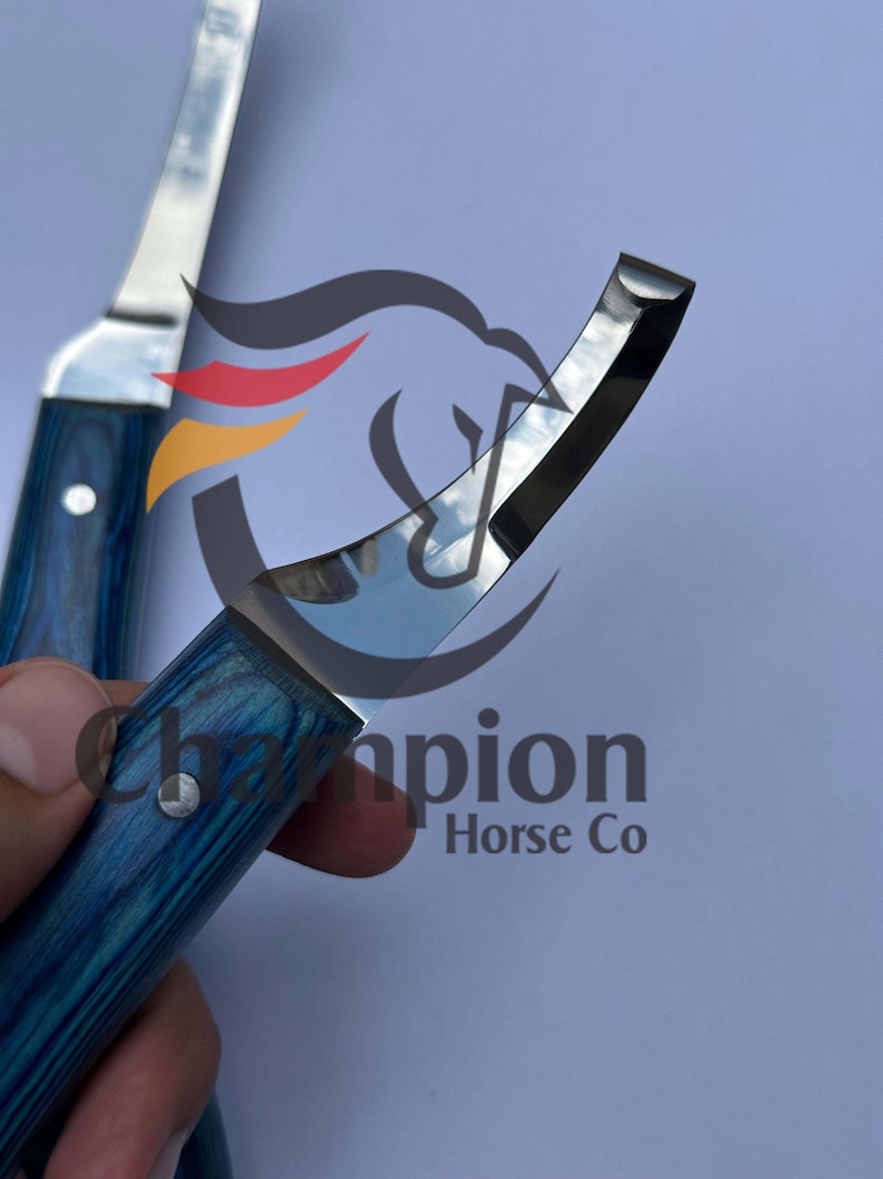 May include: Two hoof knives with polished steel blades and blue wooden handles. The handles have a wood grain pattern. The text "Champion Horse Co" is visible in the background.