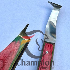 Pu&ograve; includere: Due coltelli per zoccoli con manici in legno. I manici sono un mix di rosso, verde e giallo. Le lame sono argentate e ricurve. Il testo "Champion Horse Co" &egrave; visibile sullo sfondo.