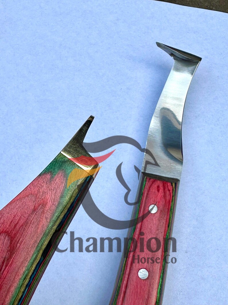 Pu&ograve; includere: Due coltelli per zoccoli con manici in legno. I manici sono un mix di rosso, verde e giallo. Le lame sono argentate e ricurve. Il testo "Champion Horse Co" &egrave; visibile sullo sfondo.