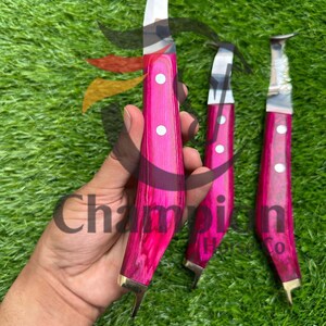 May include: Three hoof knives with bright pink wooden handles and silver blades are displayed on green grass. The handles have white dot accents and brass-coloured metal at the base. The text "Champion Horse Co" is partially visible.