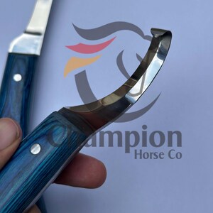 May include: Close-up of two hoof knives. The knives have a curved, polished steel blade and a blue wooden handle. The text "Champion Horse Co" is visible in the background.