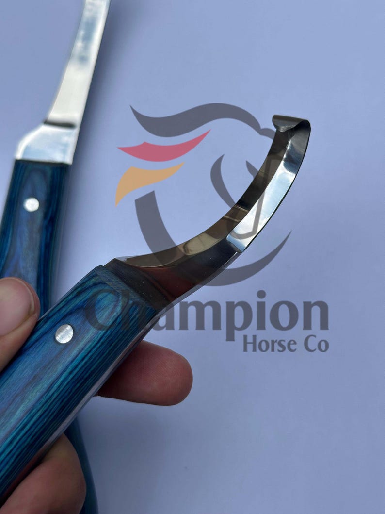 May include: Close-up of two hoof knives. The knives have a curved, polished steel blade and a blue wooden handle. The text "Champion Horse Co" is visible in the background.