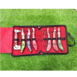 Peut inclure: Un ensemble de sept outils de maréchal-ferrant avec des manches en bois et des lames en métal, présentés dans un étui zippé noir doublé de rouge. Les outils sont maintenus par des sangles élastiques noires. L'étui est ouvert, sur fond d'herbe verte.