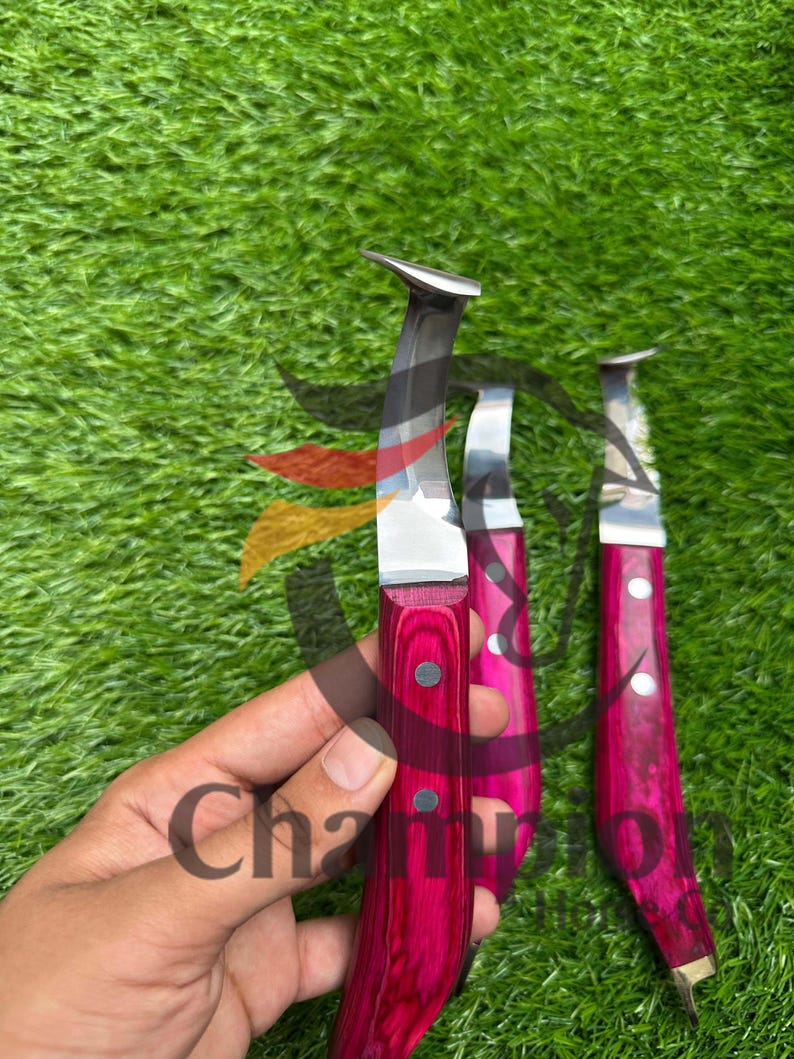 May include: Three hoof knives with polished silver blades and vibrant pink wooden handles. The handles are secured with silver rivets. The knives are displayed against a backdrop of green grass.