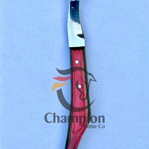 Pu&ograve; includere: Un coltello da maniscalco con una lama in acciaio lucido e un manico in legno rosso e verde. Il coltello ha una lama curva e una punta. Il testo "Champion Horse Co" &egrave; visibile.