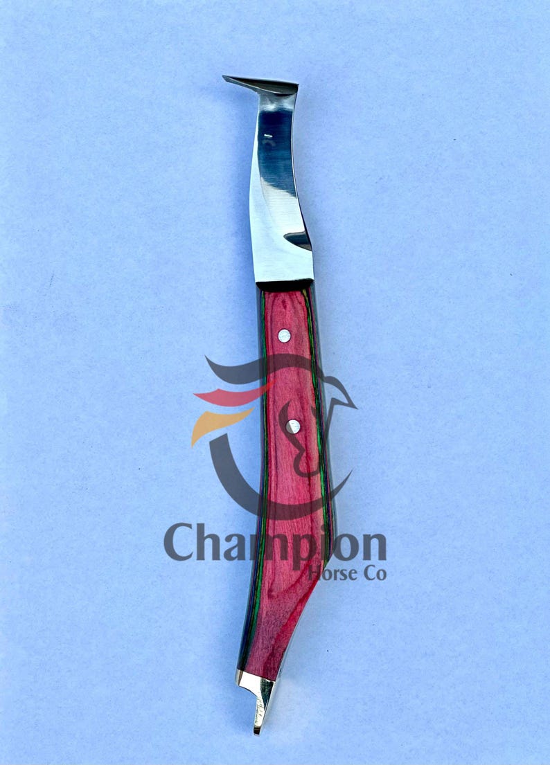 Pu&ograve; includere: Un coltello da maniscalco con una lama in acciaio lucido e un manico in legno rosso e verde. Il coltello ha una lama curva e una punta. Il testo "Champion Horse Co" &egrave; visibile.