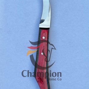 Pu&ograve; includere: Un coltello da maniscalco con una lama in acciaio lucido e un manico con venature rosse, blu e gialle. Il testo "Champion Horse Co" &egrave; visibile sul manico.