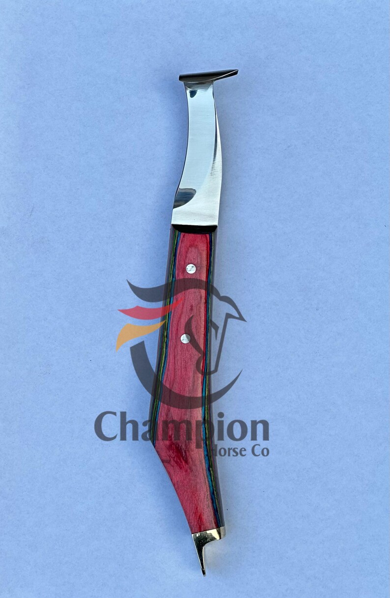 Pu&ograve; includere: Un coltello da maniscalco con una lama in acciaio lucido e un manico con venature rosse, blu e gialle. Il testo "Champion Horse Co" &egrave; visibile sul manico.