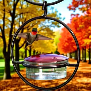 Bold Hummingbird Feeder: Durable, Vibrant Garden Decor by Hummble