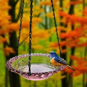 Hanging Bird Feeder & Bird Bath: Balcony Garden Wildlife Decor