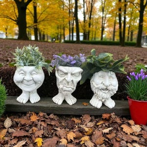 May include: Three white, face-shaped planters with greenery and purple flowers. Each planter has a unique facial expression and is set on a wooden surface. The background features a blurred view of trees with yellow leaves, suggesting an autumn setting.