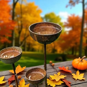 Puede incluir: Tres rústicos bebederos para pájaros con un acabado envejecido se exhiben al aire libre. Los bebederos están llenos de agua y se colocan sobre un fondo de follaje otoñal, una pequeña calabaza y hojas caídas. Los bebederos están sobre tallos de madera.