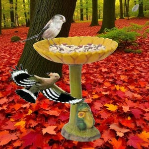 Frog Bird Bath Feeder: Resin Chicken Design, Farmhouse Garden Decor
