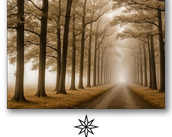 Misty Forest Road Print: Autumn Landscape Photography (Digital Download)