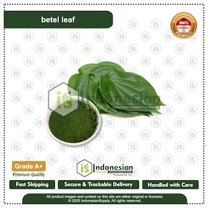 Fresh Betel Leaves, Natural Piper Betle for Culinary and Herbal Craft Use
