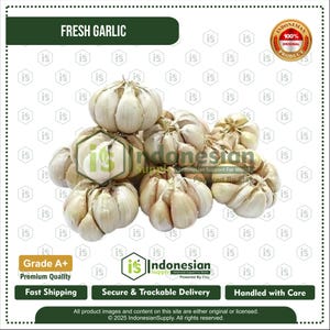 Fresh Garlic, Premium Whole Garlic Bulbs, Aromatic Cooking Ingredient for Seasoning, Sauces, Marinades, Soups and Gourmet Recipes