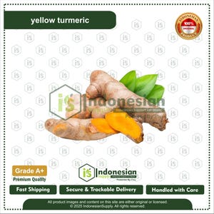 Fresh Yellow Turmeric Root, Natural Curcuma Longa for Culinary Recipes & Herbal Tea