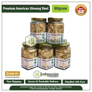 Premium American Ginseng Root, Wildcrafted Panax Ginseng Yongsem for Tea & Culinary Use