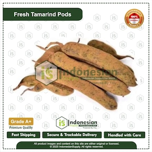 Fresh Tamarind Pods, Premium Quality Tamarind Fruit, Sweet and Tangy Pods for Cooking, Beverages, Sauces, Desserts and Herbal Uses
