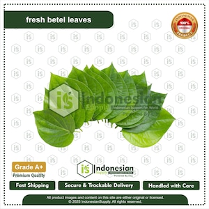 Fresh Betel Leaves, Natural Botanical Herb for Tea Blends & Culinary Craft Use