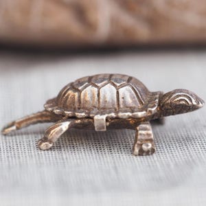 May include: A small, silver turtle figurine with detailed features. The turtle has a textured shell and visible legs and head. The figurine is set against a soft, neutral background, highlighting its intricate design and metallic finish.
