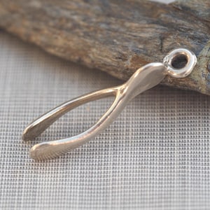 May include: A silver wishbone charm, ideal for a necklace or bracelet. The charm has a loop at the top and a smooth, polished finish. The wishbone is in a classic Y-shape. The background is a neutral colour.