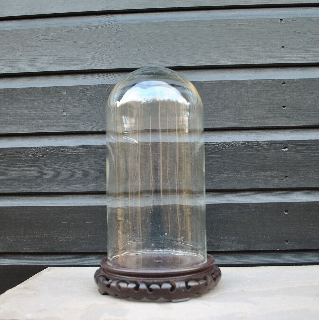 Glass and Wooden Display Case Dome Taxidermy Thimble Cloche Etsy UK